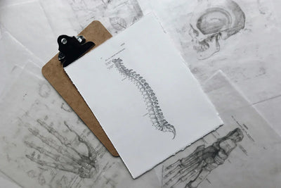 Posture as a Brain Reflex for Nervous System Regulation