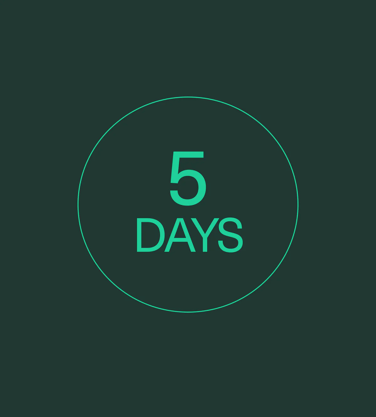 245 verified 5-star reviews