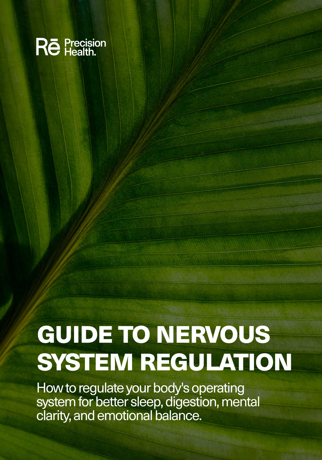 Your guide to nervous system regulation.