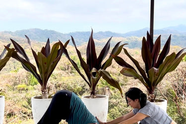 Private Yoga Session with Sara